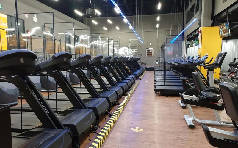 Rows of treadmills in a fitness studio kept sanitized and odor-free