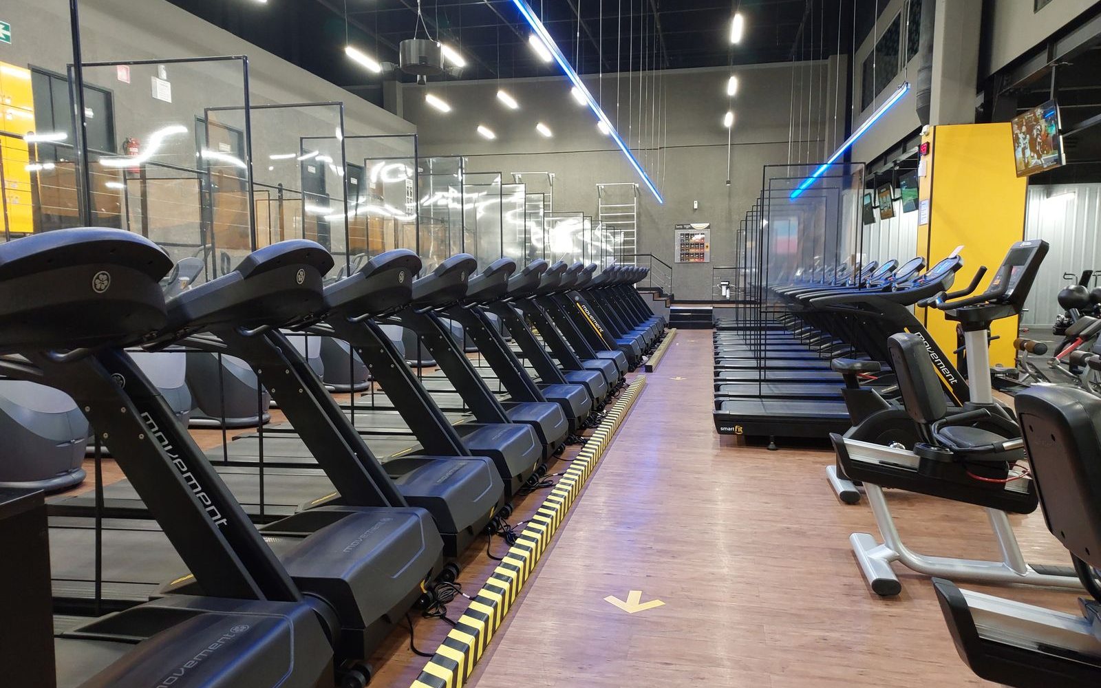 Rows of treadmills in a fitness studio kept sanitized and odor-free